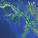 Illustration for article titled Pruning the Mississippi River Could Protect New Orleans From the Next Katrina